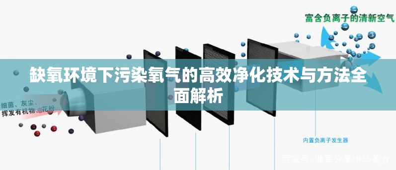 缺氧环境下污染氧气的高效净化技术与方法全面解析