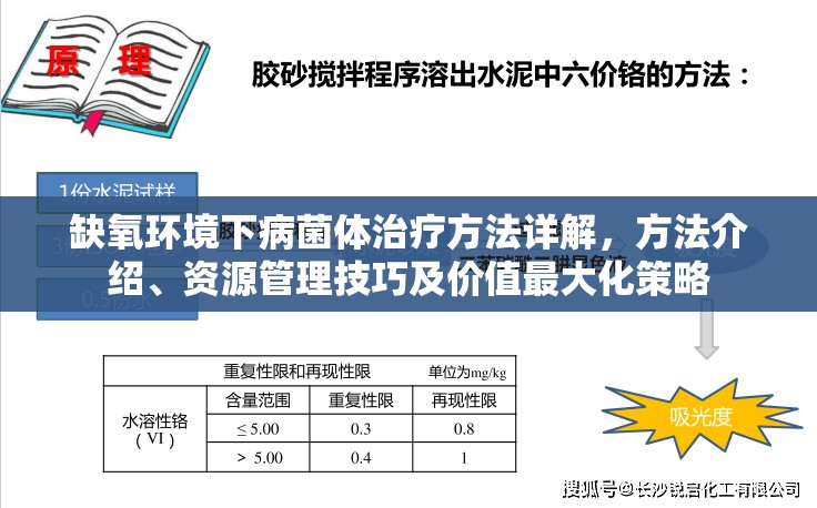 缺氧环境下病菌体治疗方法详解，方法介绍、资源管理技巧及价值最大化策略