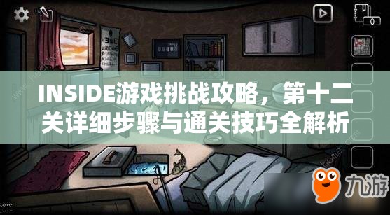 INSIDE游戏挑战攻略，第十二关详细步骤与通关技巧全解析