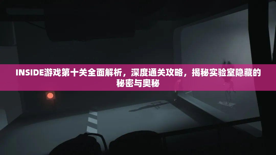 INSIDE游戏第十关全面解析，深度通关攻略，揭秘实验室隐藏的秘密与奥秘