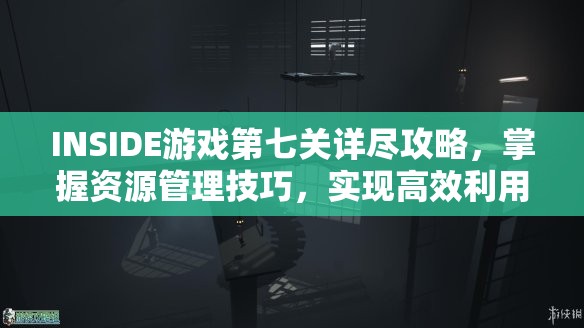 INSIDE游戏第七关详尽攻略，掌握资源管理技巧，实现高效利用并规避浪费