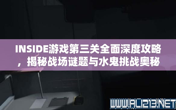 INSIDE游戏第三关全面深度攻略，揭秘战场谜题与水鬼挑战奥秘