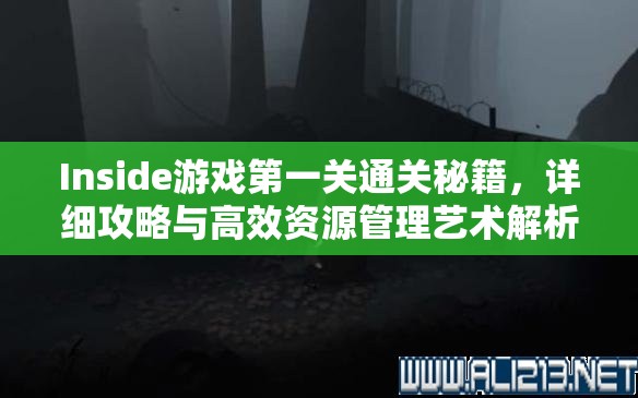 Inside游戏第一关通关秘籍，详细攻略与高效资源管理艺术解析