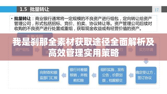 我是刹那全素材获取途径全面解析及高效管理实用策略