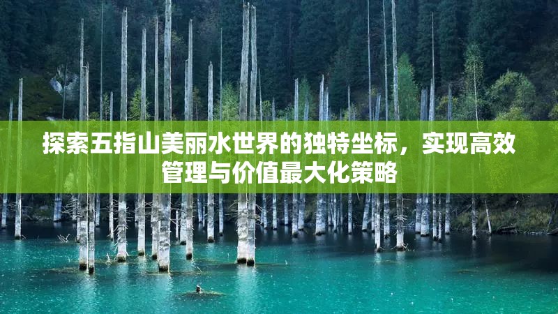 探索五指山美丽水世界的独特坐标，实现高效管理与价值最大化策略