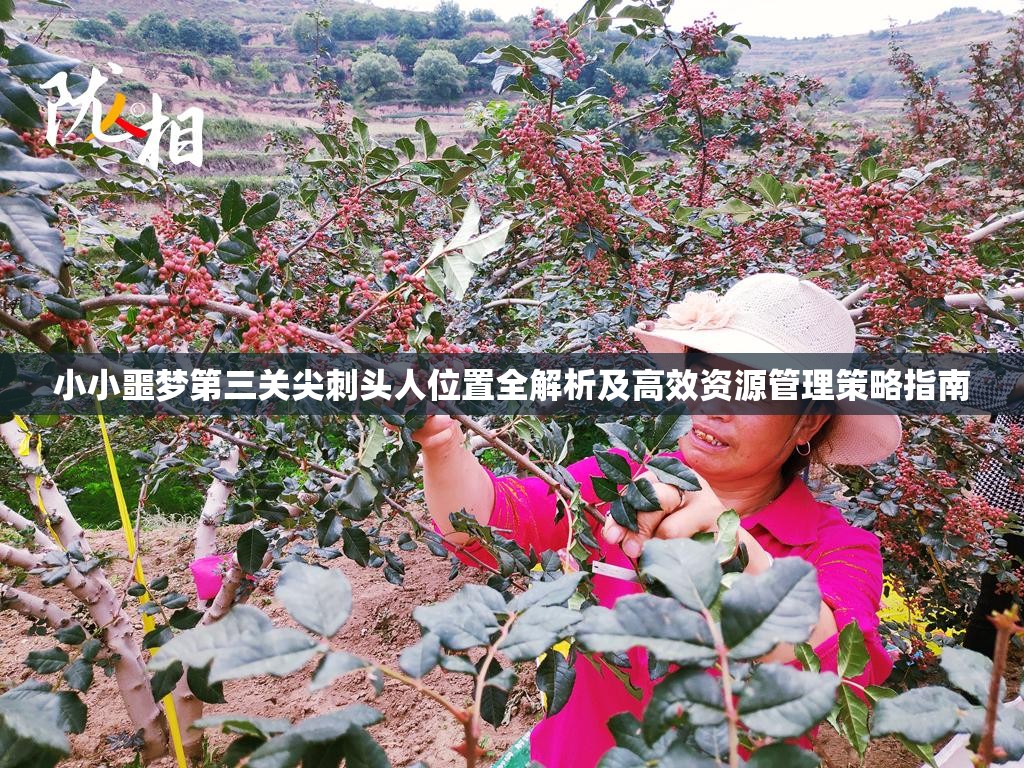 小小噩梦第三关尖刺头人位置全解析及高效资源管理策略指南