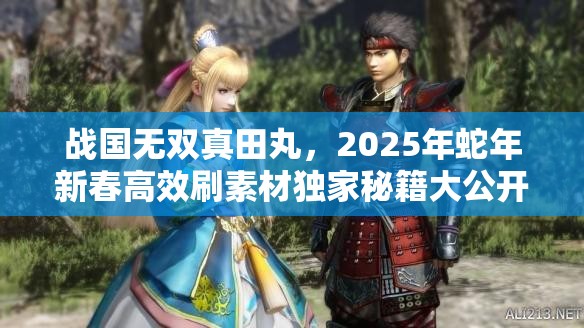 战国无双真田丸，2025年蛇年新春高效刷素材独家秘籍大公开