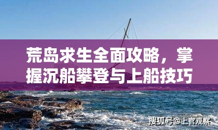 荒岛求生全面攻略，掌握沉船攀登与上船技巧，高效优化生存资源管理