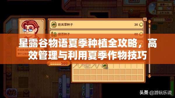 星露谷物语夏季种植全攻略，高效管理与利用夏季作物技巧