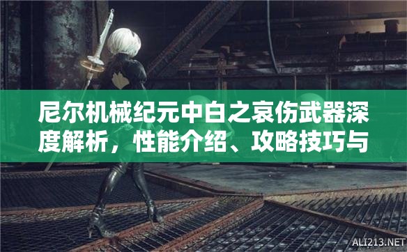 尼尔机械纪元中白之哀伤武器深度解析，性能介绍、攻略技巧与资源管理策略