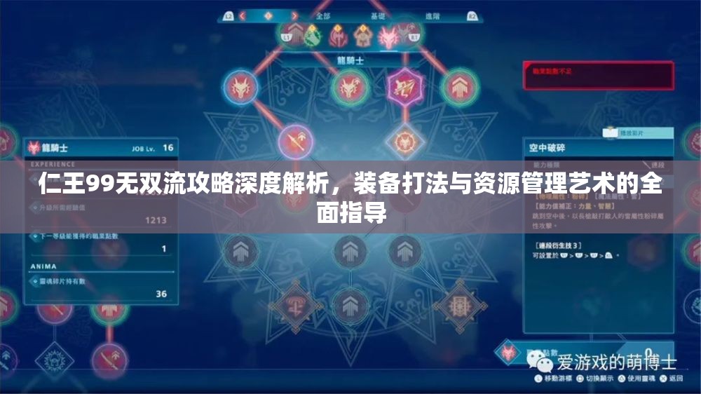 仁王99无双流攻略深度解析，装备打法与资源管理艺术的全面指导