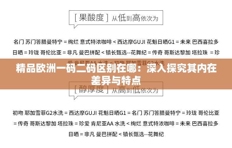 精品欧洲一码二码区别在哪：深入探究其内在差异与特点