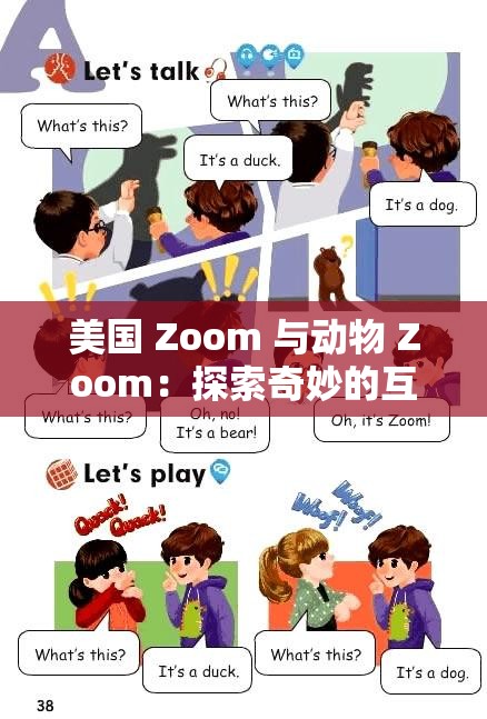 美国 Zoom 与动物 Zoom：探索奇妙的互动之旅