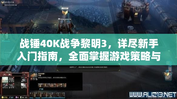 战锤40K战争黎明3，详尽新手入门指南，全面掌握游戏策略与技巧