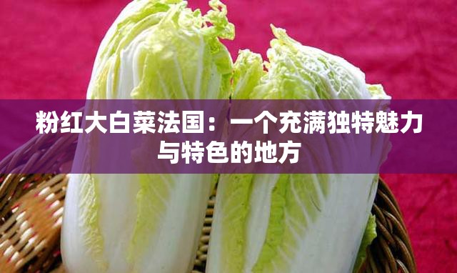 粉红大白菜法国：一个充满独特魅力与特色的地方