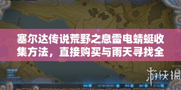 塞尔达传说荒野之息雷电蜻蜓收集方法，直接购买与雨天寻找全解析