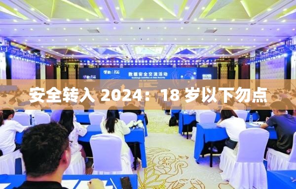 安全转入 2024：18 岁以下勿点