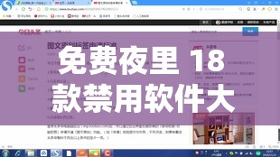 免费夜里 18 款禁用软件大全：探索其背后的秘密与风险