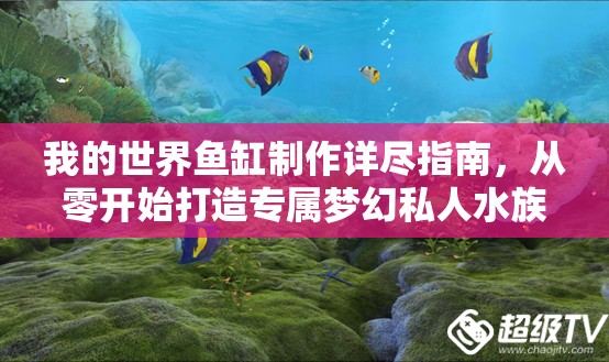 我的世界鱼缸制作详尽指南，从零开始打造专属梦幻私人水族世界