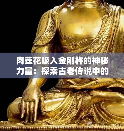 肉莲花吸入金刚杵的神秘力量：探索古老传说中的灵性与修行奥秘