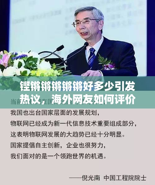 铿锵锵锵锵锵好多少引发热议，海外网友如何评价这一现象？深度解析背后的文化差异与共鸣