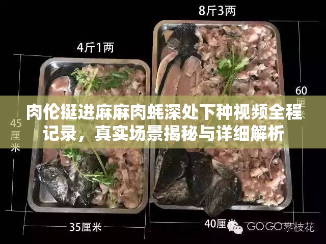 肉伦挺进麻麻肉蚝深处下种视频全程记录，真实场景揭秘与详细解析