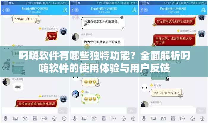 叼嗨软件有哪些独特功能？全面解析叼嗨软件的使用体验与用户反馈