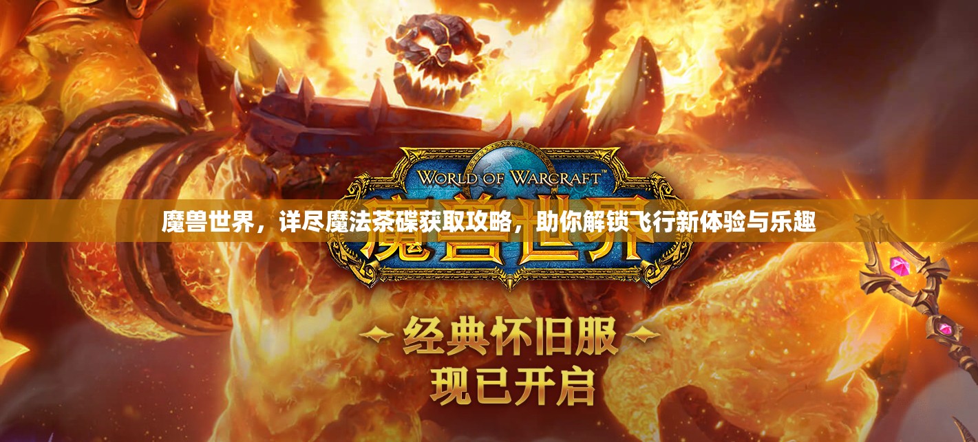 魔兽世界，详尽魔法茶碟获取攻略，助你解锁飞行新体验与乐趣