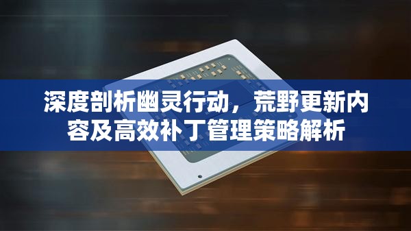 深度剖析幽灵行动，荒野更新内容及高效补丁管理策略解析