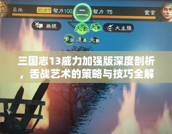 三国志13威力加强版深度剖析，舌战艺术的策略与技巧全解析