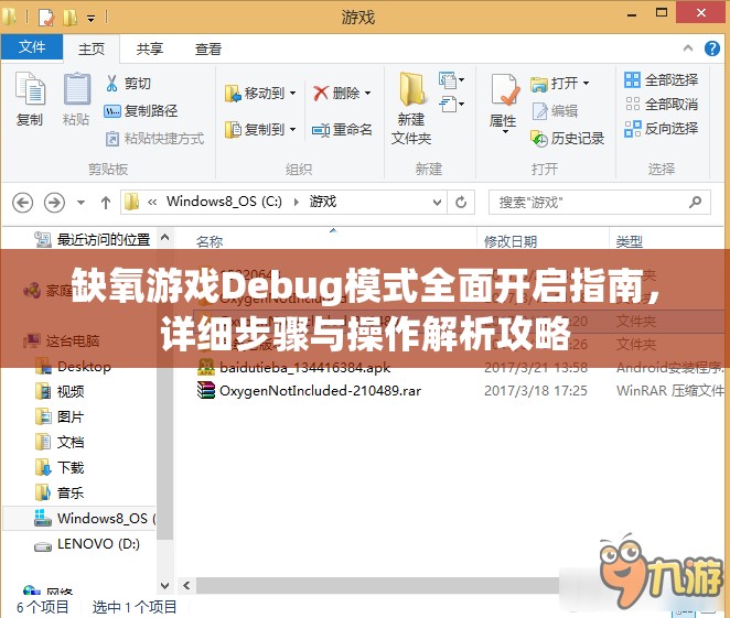 缺氧游戏Debug模式全面开启指南，详细步骤与操作解析攻略