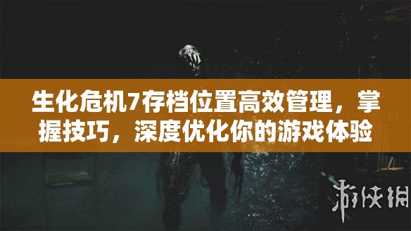 生化危机7存档位置高效管理，掌握技巧，深度优化你的游戏体验艺术