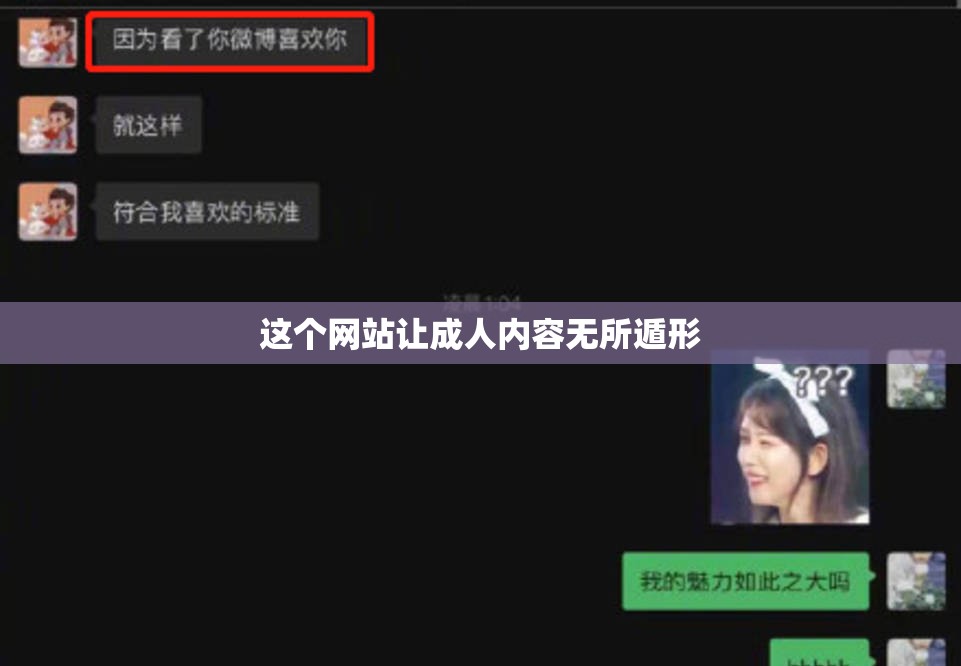 这个网站让成人内容无所遁形