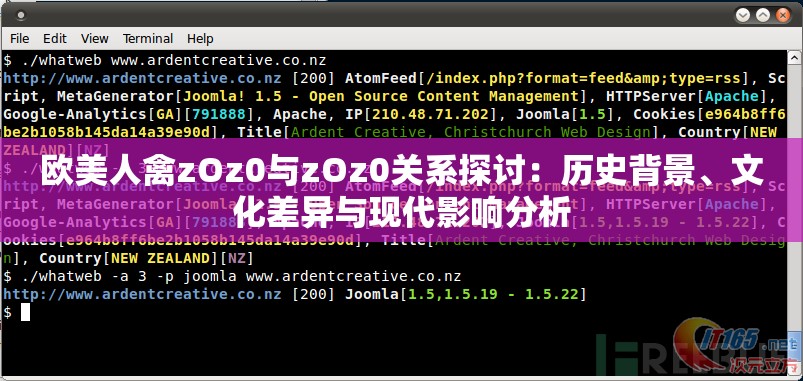 欧美人禽zOz0与zOz0关系探讨：历史背景、文化差异与现代影响分析