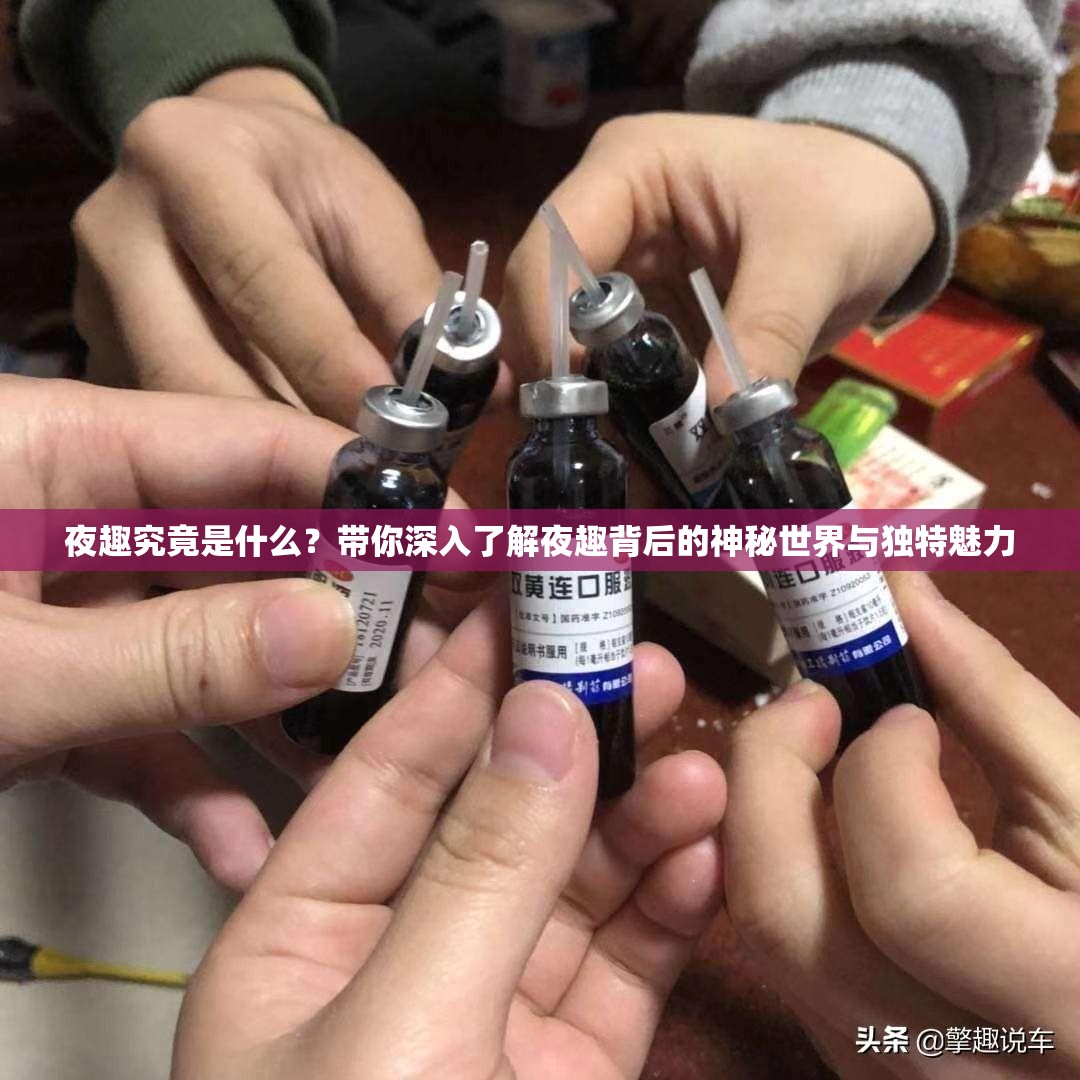 夜趣究竟是什么？带你深入了解夜趣背后的神秘世界与独特魅力