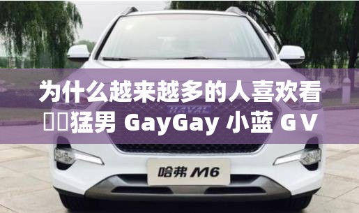 为什么越来越多的人喜欢看國産猛男 GayGay 小蓝 GⅤ？