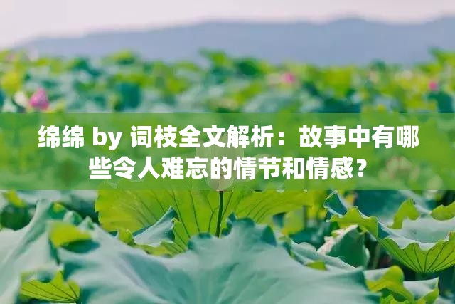 绵绵 by 词枝全文解析：故事中有哪些令人难忘的情节和情感？