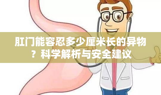 肛门能容忍多少厘米长的异物？科学解析与安全建议