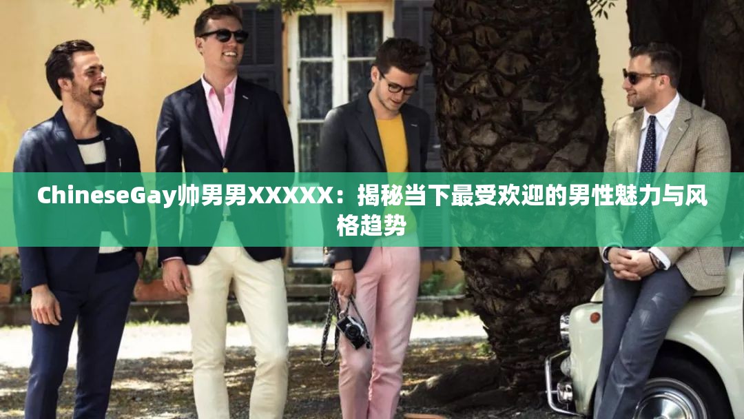 ChineseGay帅男男XXXXX：揭秘当下最受欢迎的男性魅力与风格趋势