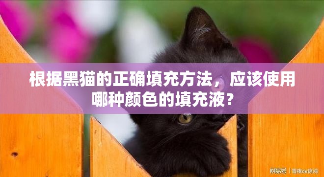 根据黑猫的正确填充方法，应该使用哪种颜色的填充液？