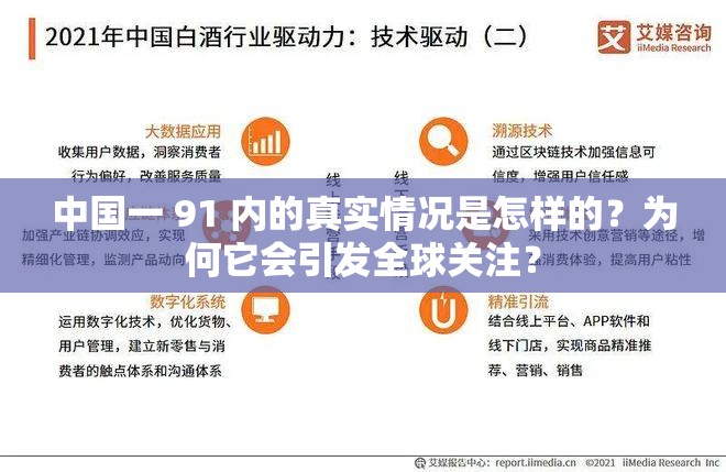 中国一 91 内的真实情况是怎样的？为何它会引发全球关注？