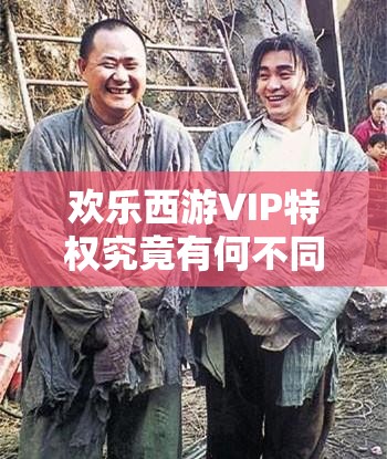 欢乐西游VIP特权究竟有何不同？VIP1至VIP4详细解析揭秘！