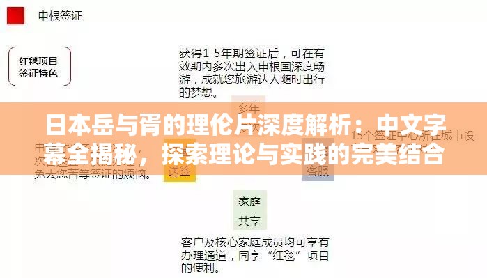 日本岳与胥的理伦片深度解析：中文字幕全揭秘，探索理论与实践的完美结合