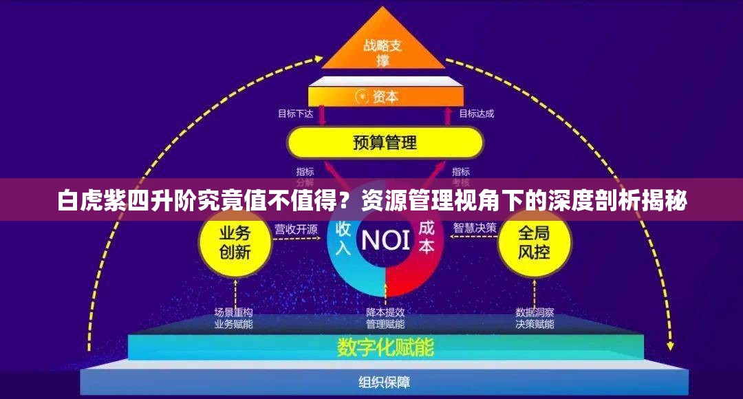 白虎紫四升阶究竟值不值得？资源管理视角下的深度剖析揭秘