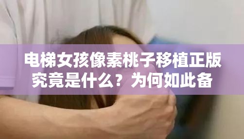 电梯女孩像素桃子移植正版究竟是什么？为何如此备受关注？快来一探究竟