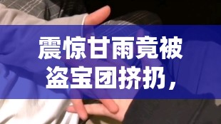 震惊甘雨竟被盗宝团挤扔，背后真相究竟如何？甘雨被盗宝团挤扔，这一惊人事件引发众人热议，究竟怎么回事？令人意想不到甘雨被盗宝团挤扔，事件细节全曝光