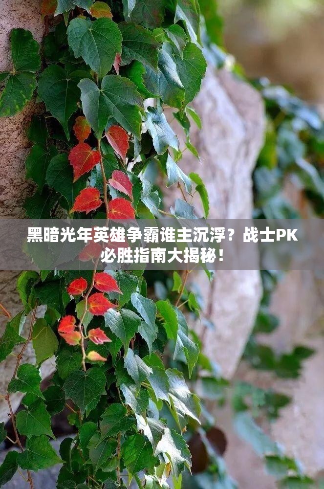 黑暗光年英雄争霸谁主沉浮？战士PK必胜指南大揭秘！