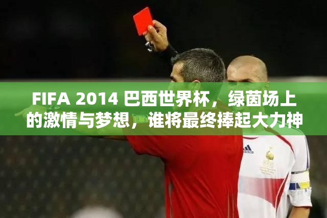 FIFA 2014 巴西世界杯，绿茵场上的激情与梦想，谁将最终捧起大力神杯？