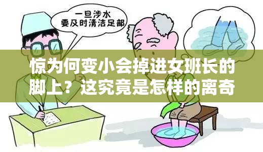 惊为何变小会掉进女班长的脚上？这究竟是怎样的离奇事件？或者：变小掉进女班长的脚上，背后隐藏着怎样不为人知的秘密？又或者：令人匪夷所思变小竟掉进女班长的脚上，到底发生了什么？