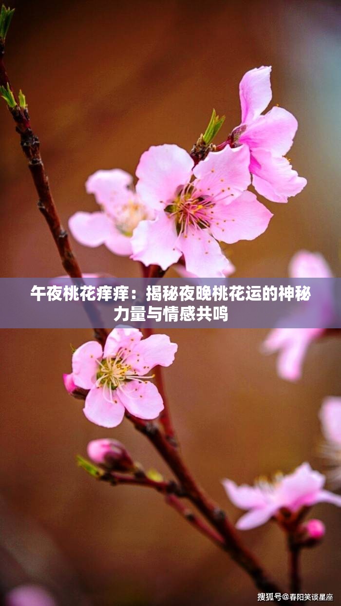 午夜桃花痒痒：揭秘夜晚桃花运的神秘力量与情感共鸣